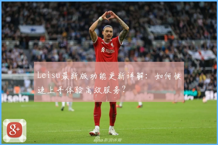 Leisu最新版功能更新详解：如何快速上手体验高效服务？