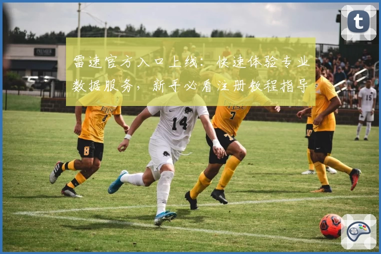 雷速官方入口上线：快速体验专业数据服务，新手必看注册教程指导