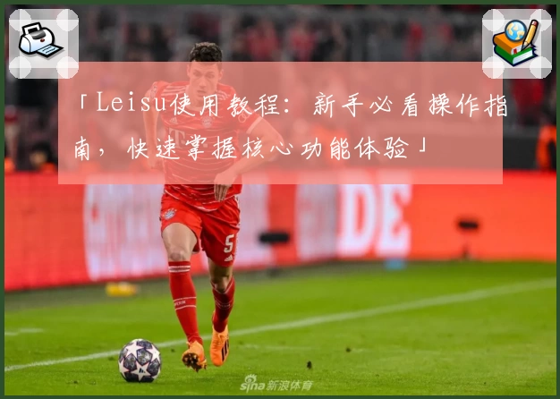 「Leisu使用教程:新手必看操作指南,快速掌握核心功能体验」
